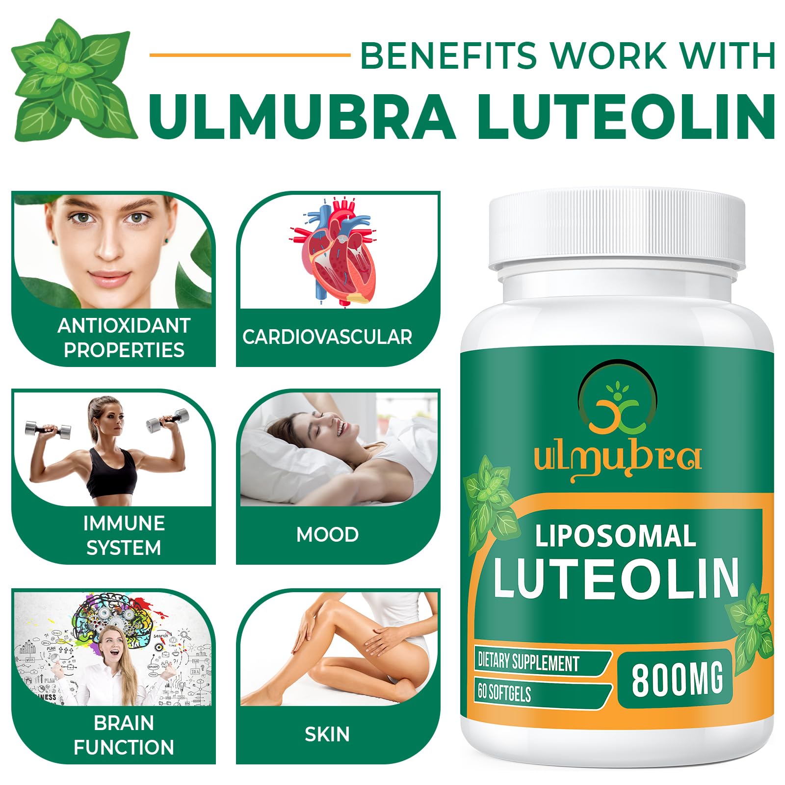 Ulmubra USA-made premium quality supplement with natural ingredients.