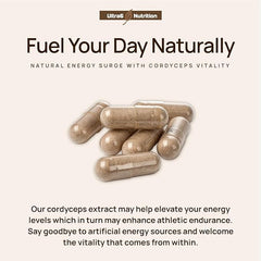 Ultra6 Reishi mushroom extract emphasizes immune-support potential alongside mental clarity.