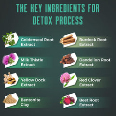 Ingredients like burdock and milk thistle in Ultraverixian gummies.