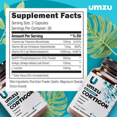 UMZU Cortigon Ginkgo Biloba icon illustrating attention support