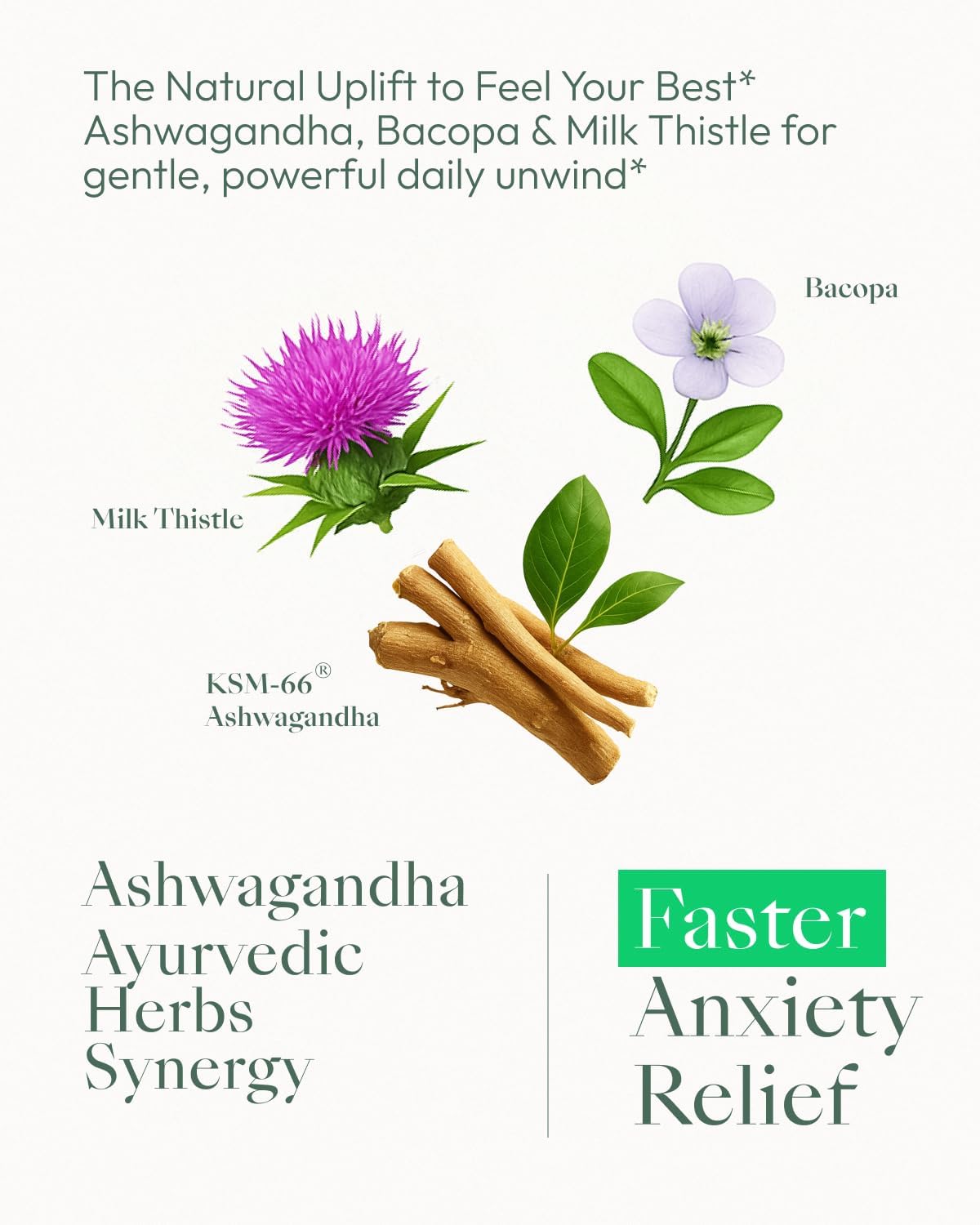 Upbe Ashwagandha bottle close-up highlights Bacopa and Milk Thistle components