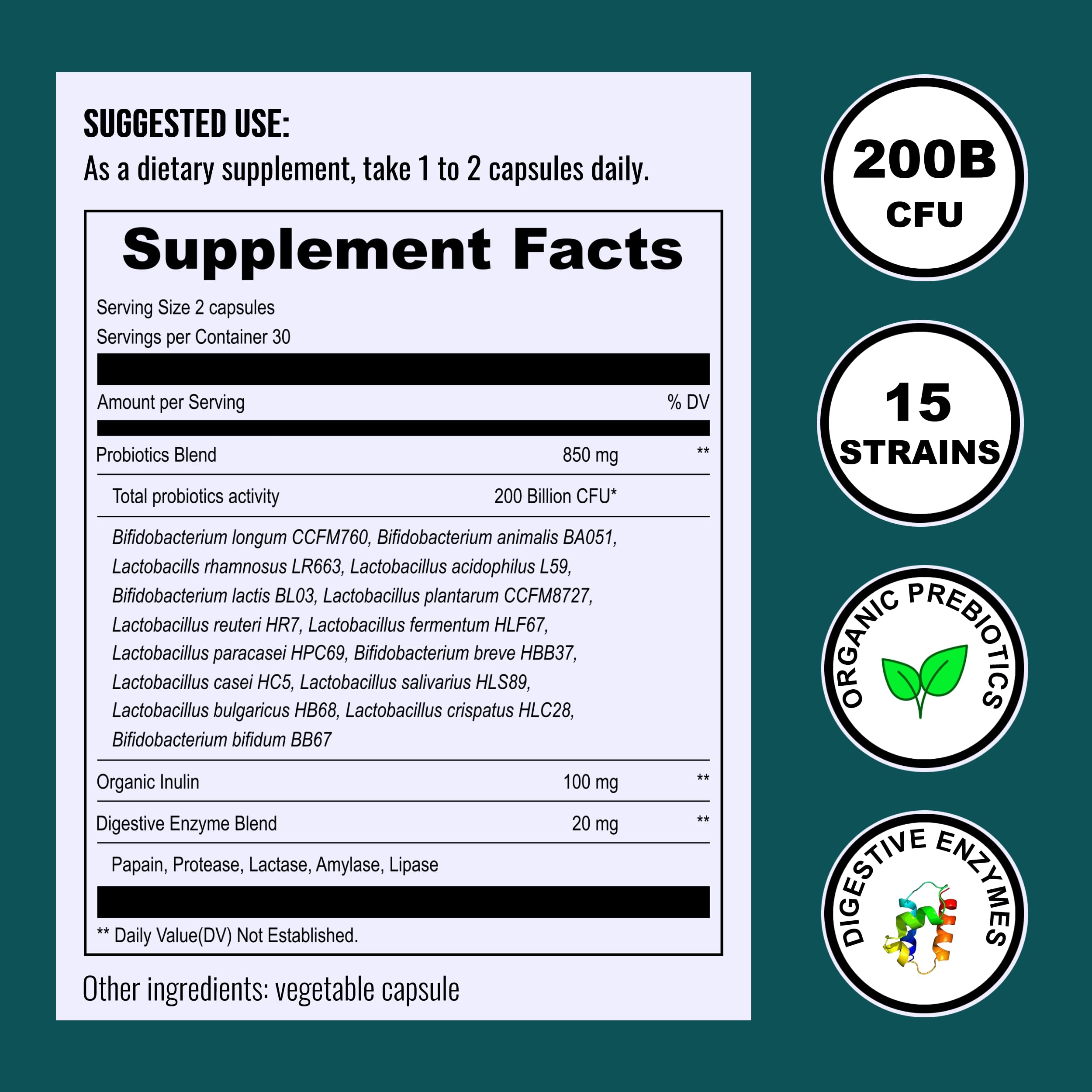 UpNourish Probiotics organic prebiotic inulin aiding beneficial bacteria.