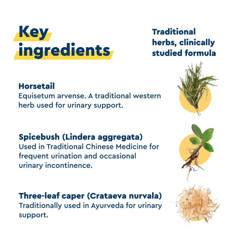 Herbal blend components of Uqora In Control shown for bladder support.