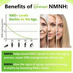 Closeup of Ursinquil NMNH 500mg lozenges designed for sublingual absorption.