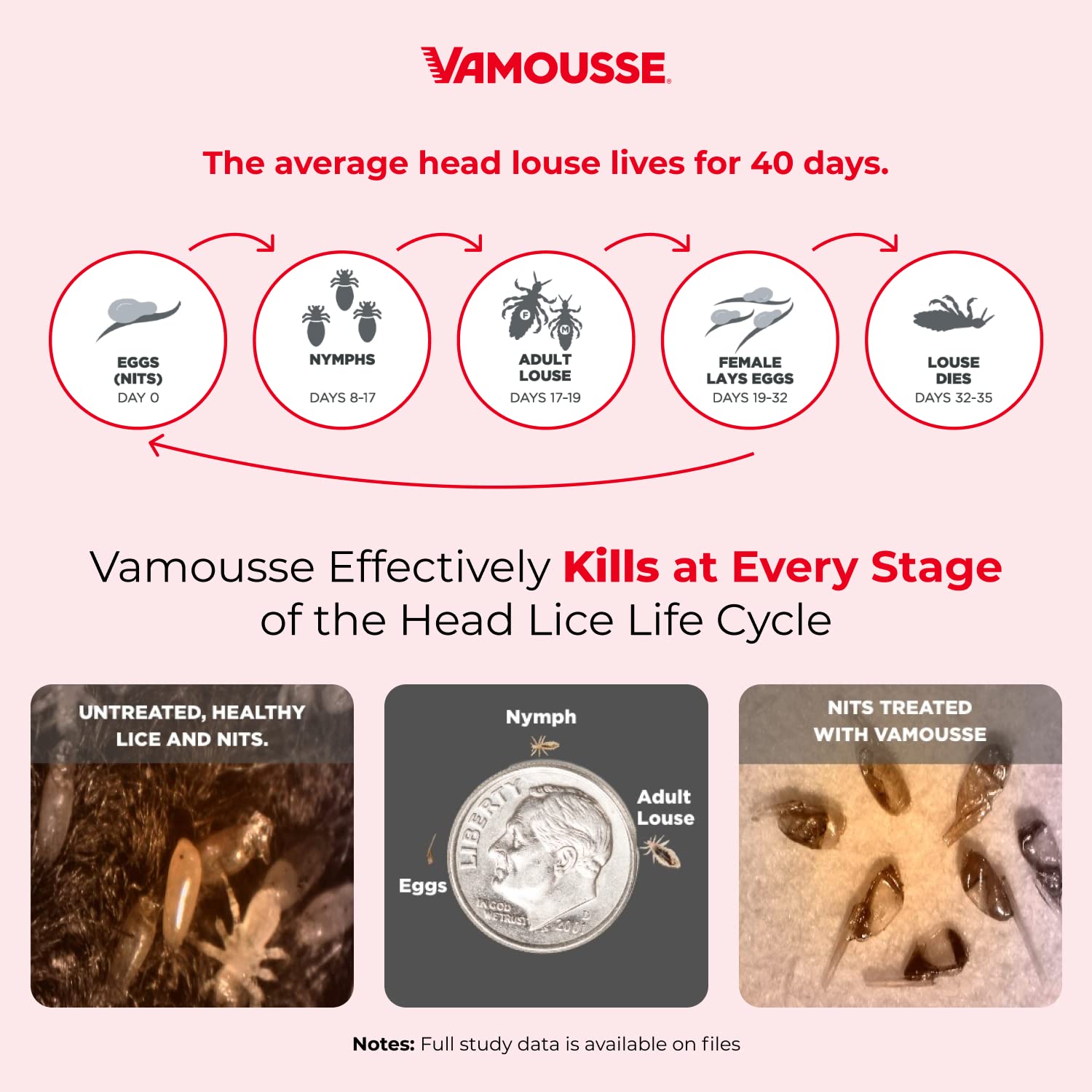 Step by step application sequence for Vamousse mousse