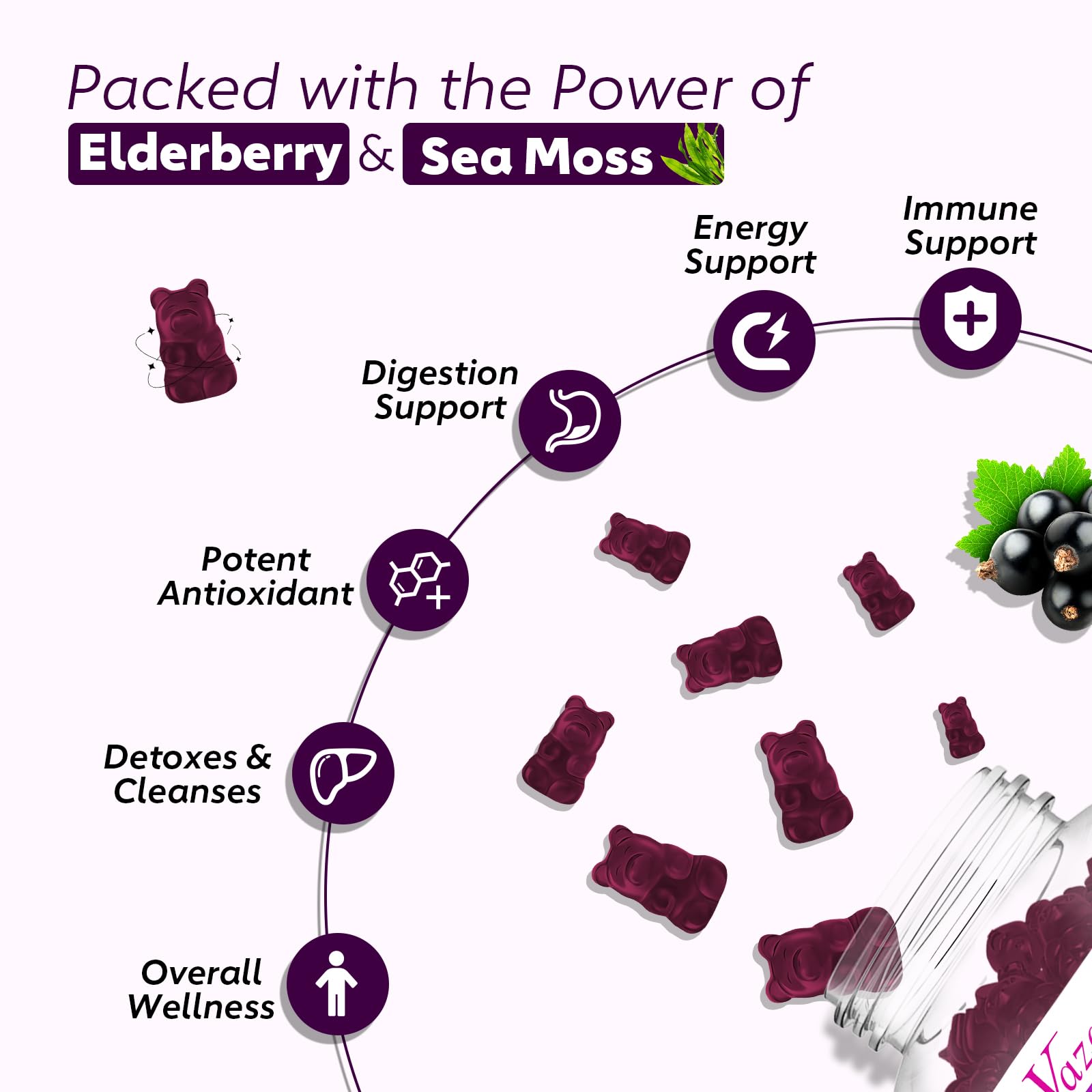 Vazatisi elderberry sea moss ingredients graphic highlighting natural blend for nourishment.