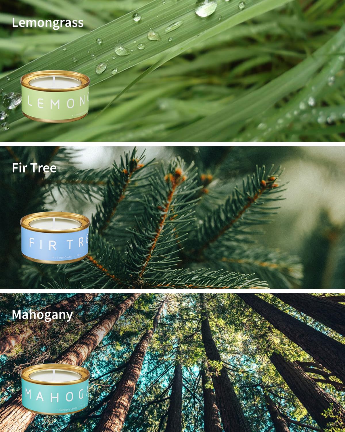 Veda Tinda Scent Fir Tree candle evokes crisp forest vibes for holidays.