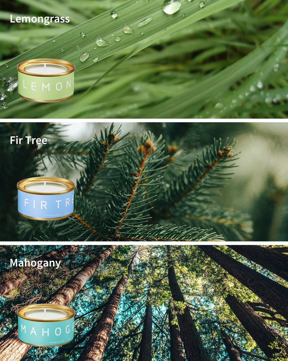 Veda Tinda Scent Fir Tree candle evokes crisp forest vibes for holidays.