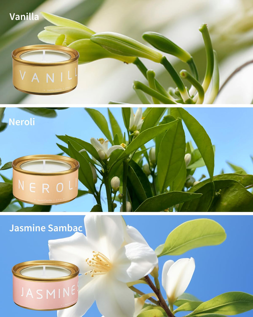 VEDA TINDA SCENT clary sage candle for focus and balance