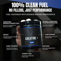 VEDGE Creatine+ measuring scoop showing precise 5 g dose for strength gains