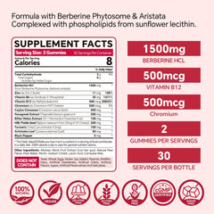 VEETAGYO berberine gummies close-up, sugar-free and easy to take daily