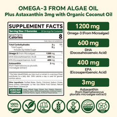 VEETAGYO vegan omega-3 gummies inner jelly layer delivers DHA and EPA