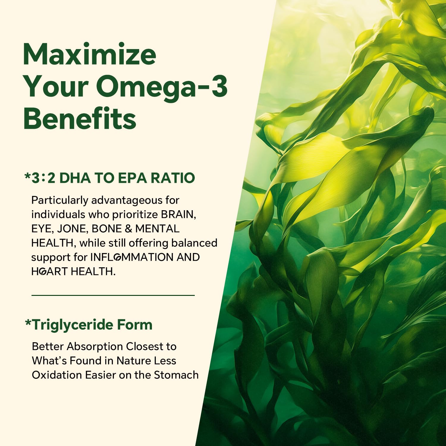 VEETAGYO non-GMO gluten-free omega-3 gummies for sensitive diets