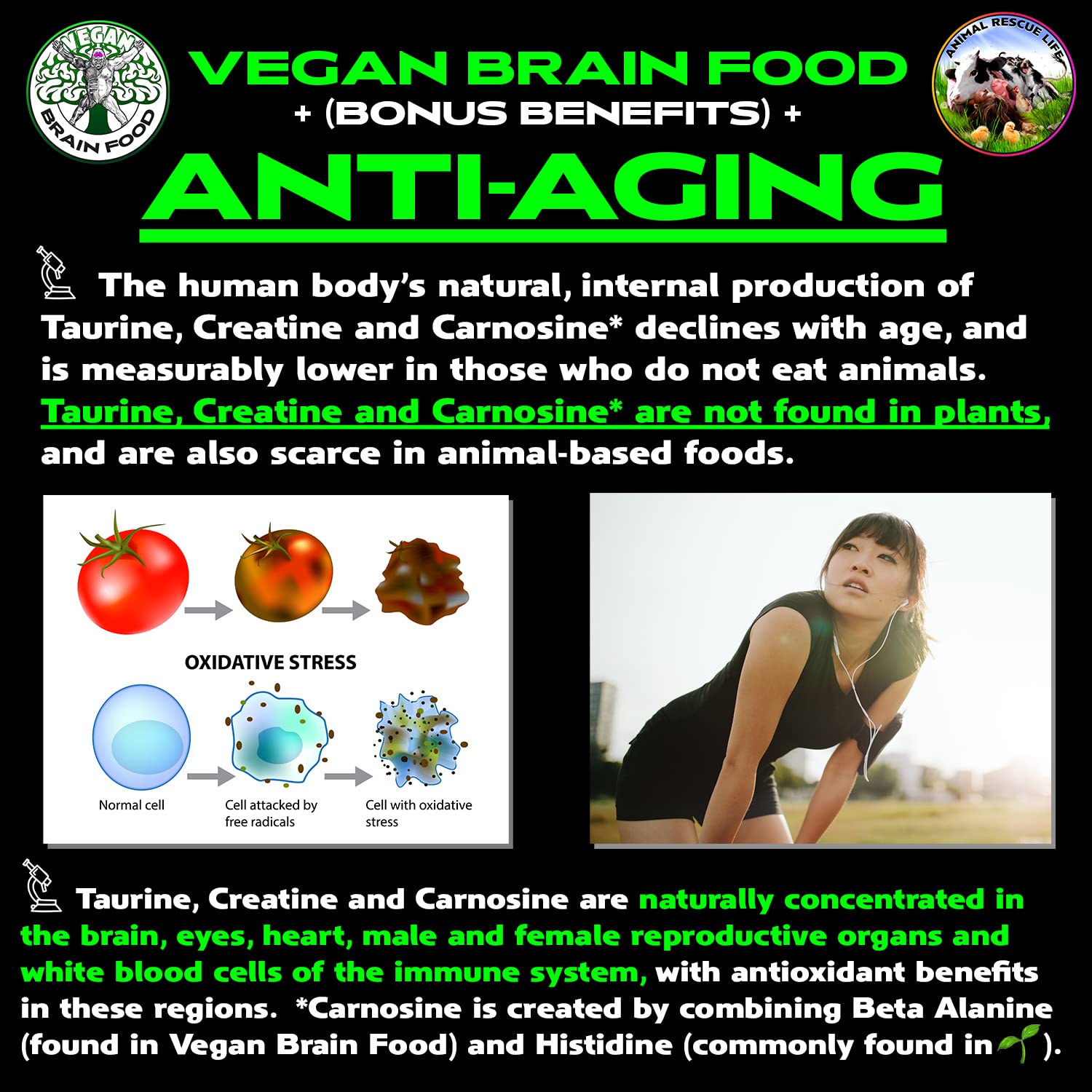 Vegan Brain Food capsules closeup offers convenient daily supplementation for cognitive and physical support.