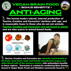 Vegan Brain Food capsules closeup offers convenient daily supplementation for cognitive and physical support.
