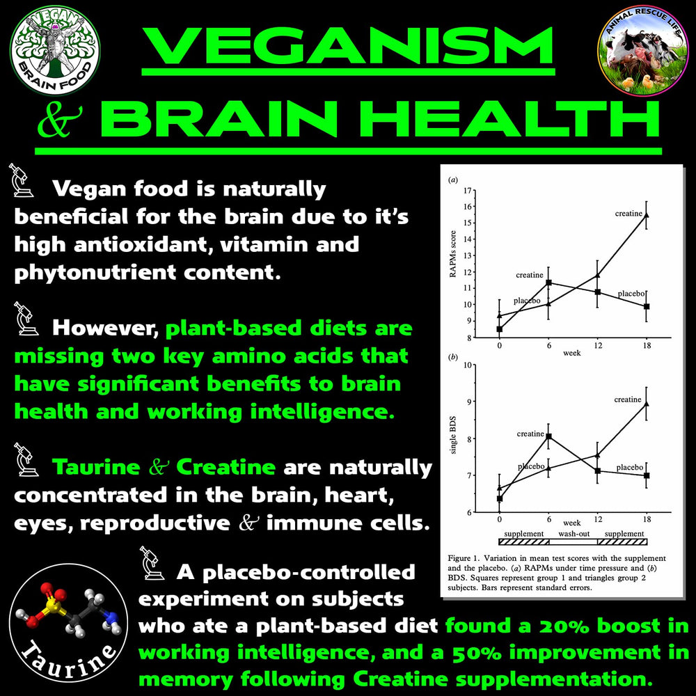 Vegan Brain Food plant-based ingredients highlight science-backed brain and immune boost possibilities.