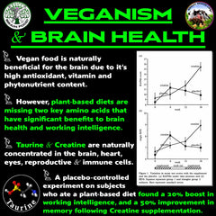 Vegan Brain Food plant-based ingredients highlight science-backed brain and immune boost possibilities.
