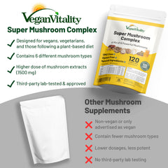 Chaga mushroom detail from Vegan Vitality mushroom blend.