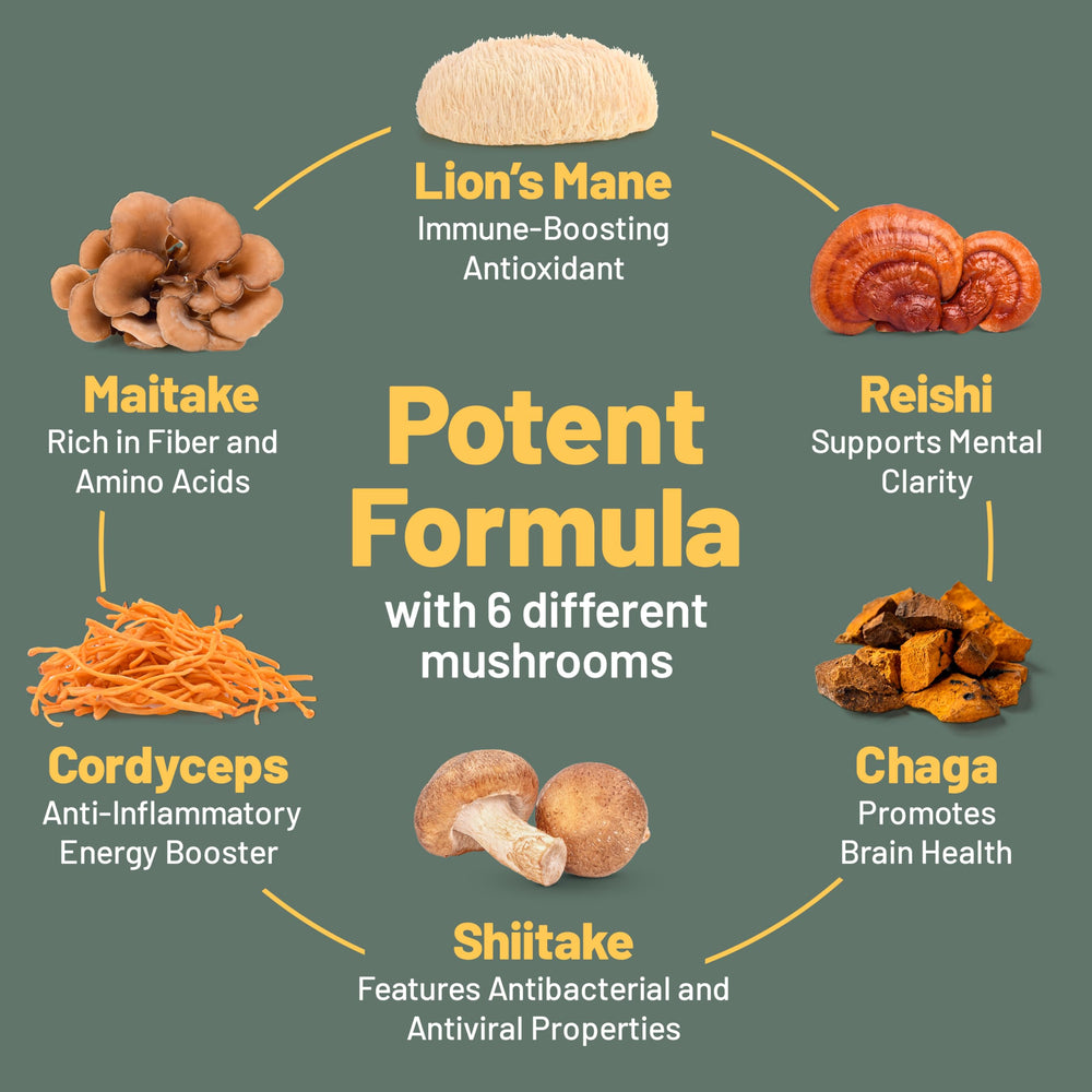 Lion's Mane capsules emphasize focus-oriented ingredients in Vegan Vitality.