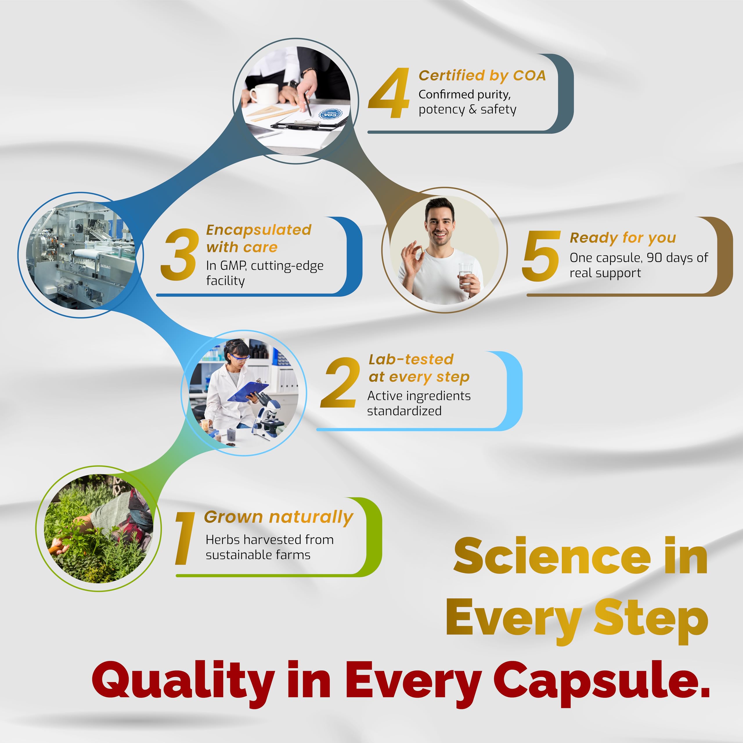 VEGATOT 90 capsules for a 3-month supply
