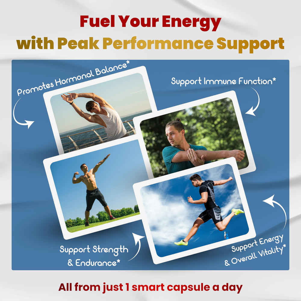 VEGATOT Maca root supports daily energy and focus