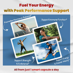VEGATOT Maca root supports daily energy and focus