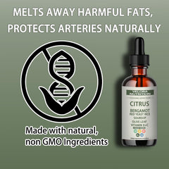 Velora soursop olive leaf ingredients close-up signaling botanical blend