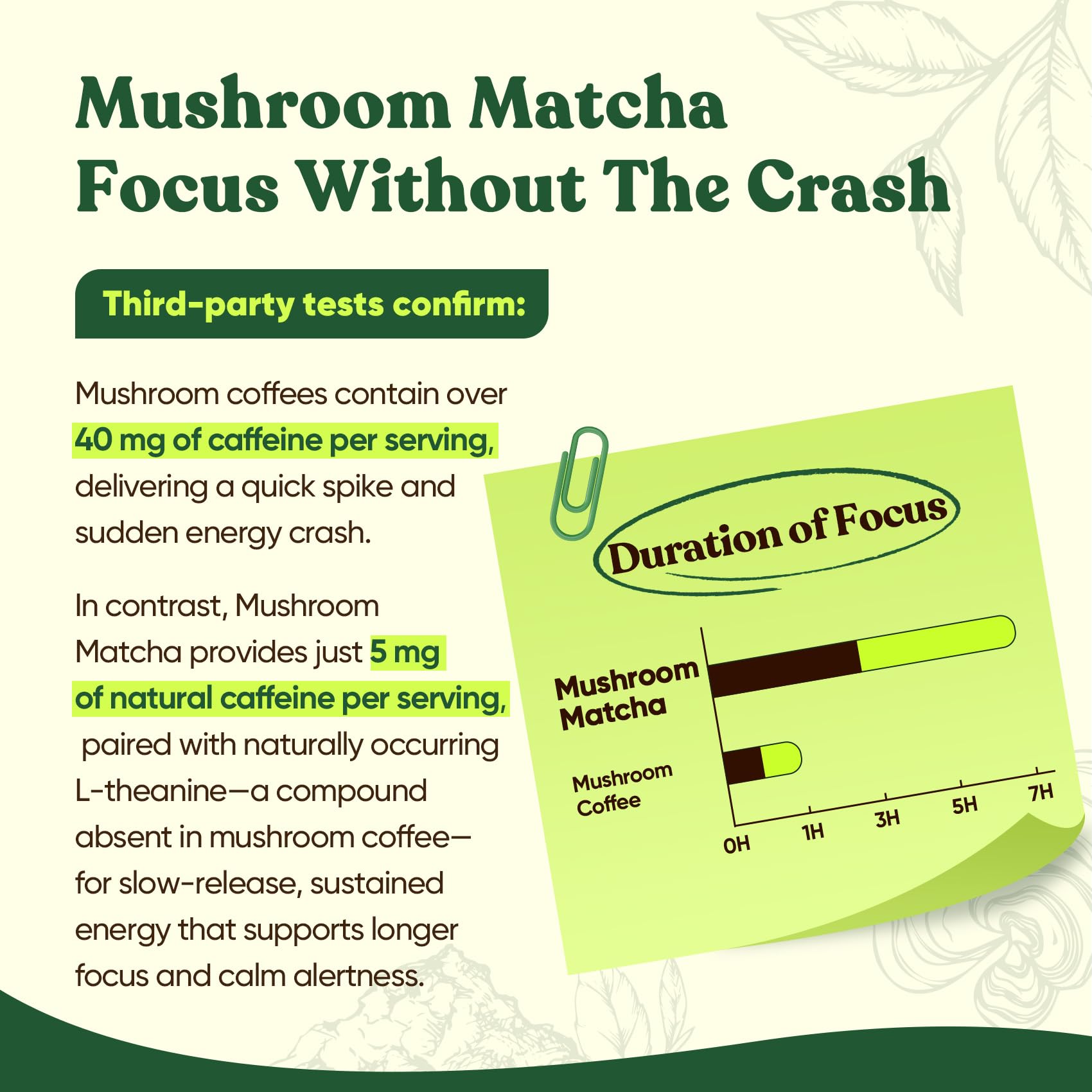 Close-up of Venture Pal matcha powder texture highlighting smooth powder.