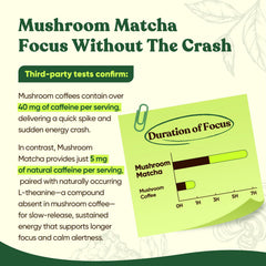 Close-up of Venture Pal matcha powder texture highlighting smooth powder.