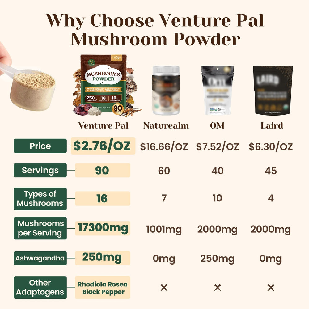 Venture Pal mushroom powder in a smoothie mug suggests simple morning use