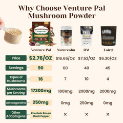 Venture Pal mushroom powder in a smoothie mug suggests simple morning use