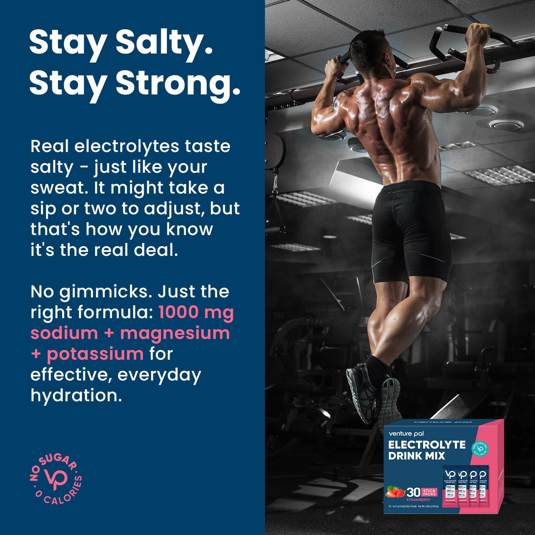Venture Pal vegan keto-friendly ingredients for diet-conscious hydration.