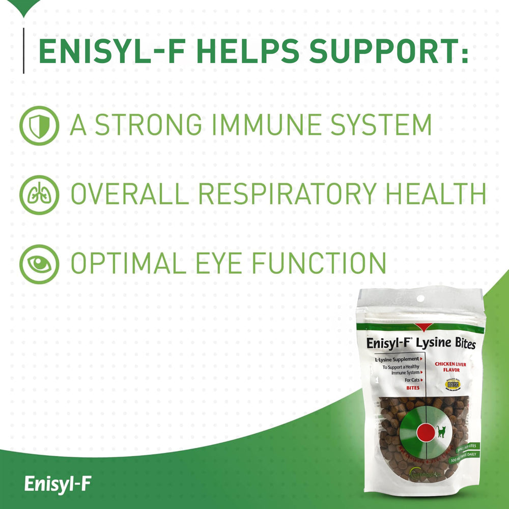 Cat using Lysine Bites shows easy daily routine
