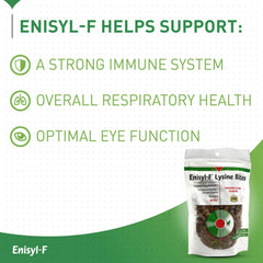 Cat using Lysine Bites shows easy daily routine