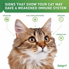 Dosing scoop demonstrates 500 mg dose for cats and 250 mg for kittens