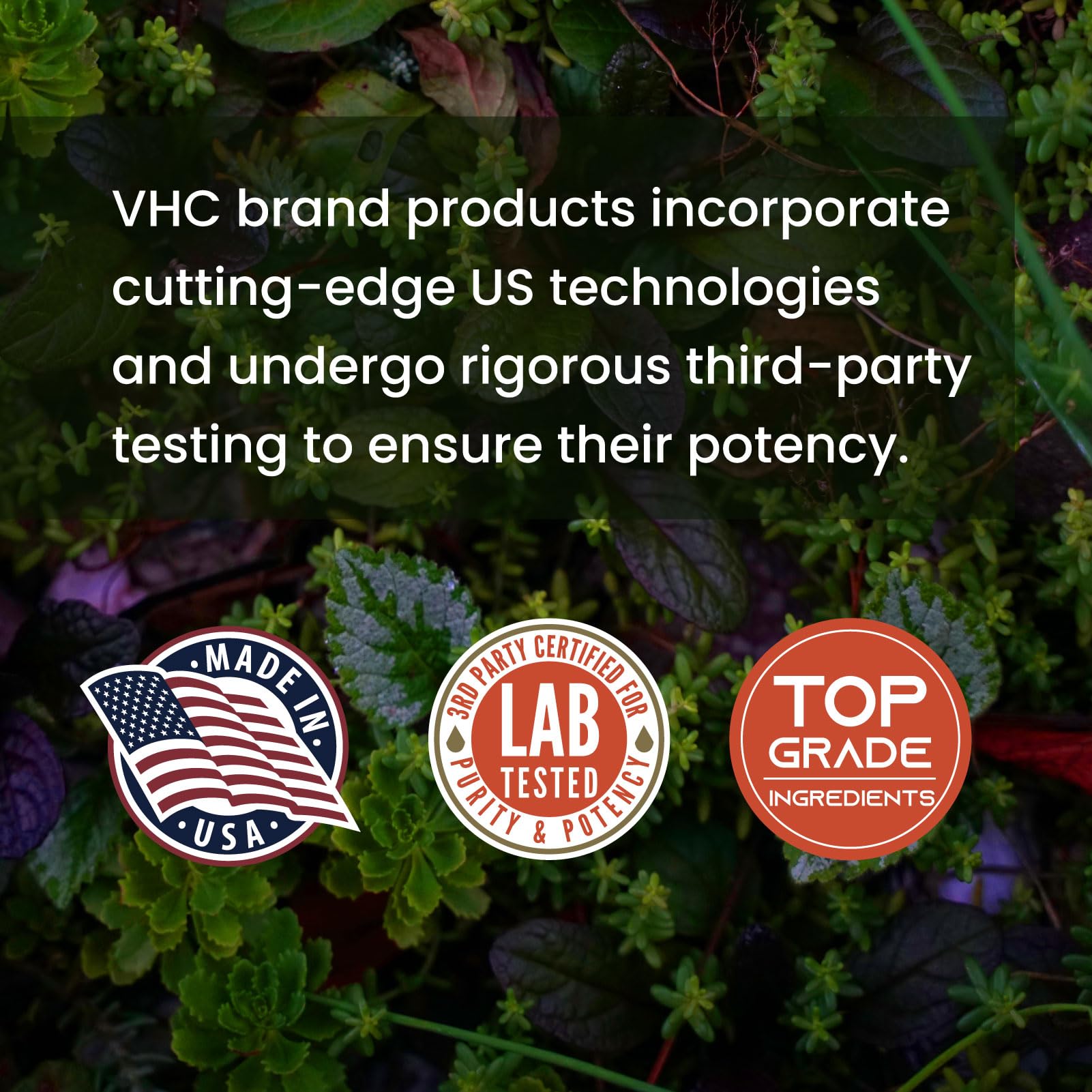Third-party lab seal on packaging confirms consistent potency for reliability.
