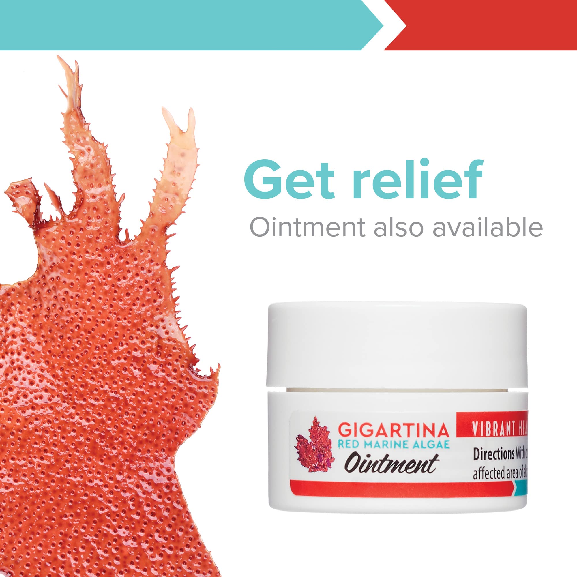Vibrant Health Gigartina Red Marine Algae benefits graphic hints at immune and skin support.