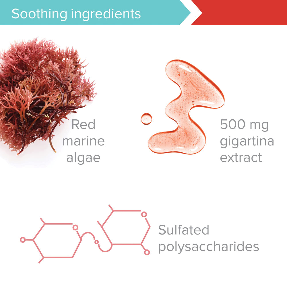 Vibrant Health Gigartina Red Marine Algae being used with water for daily intake.