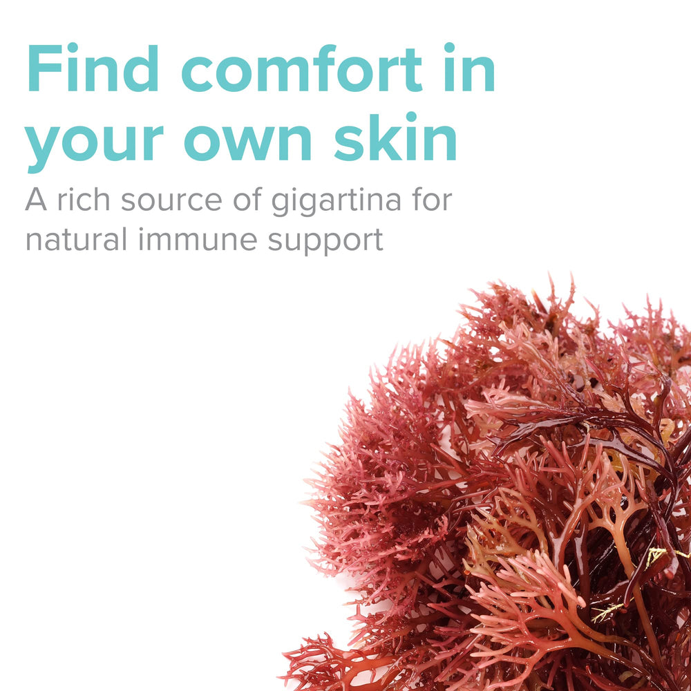 Vibrant Health Gigartina Red Marine Algae label details emphasize transparent sourcing.