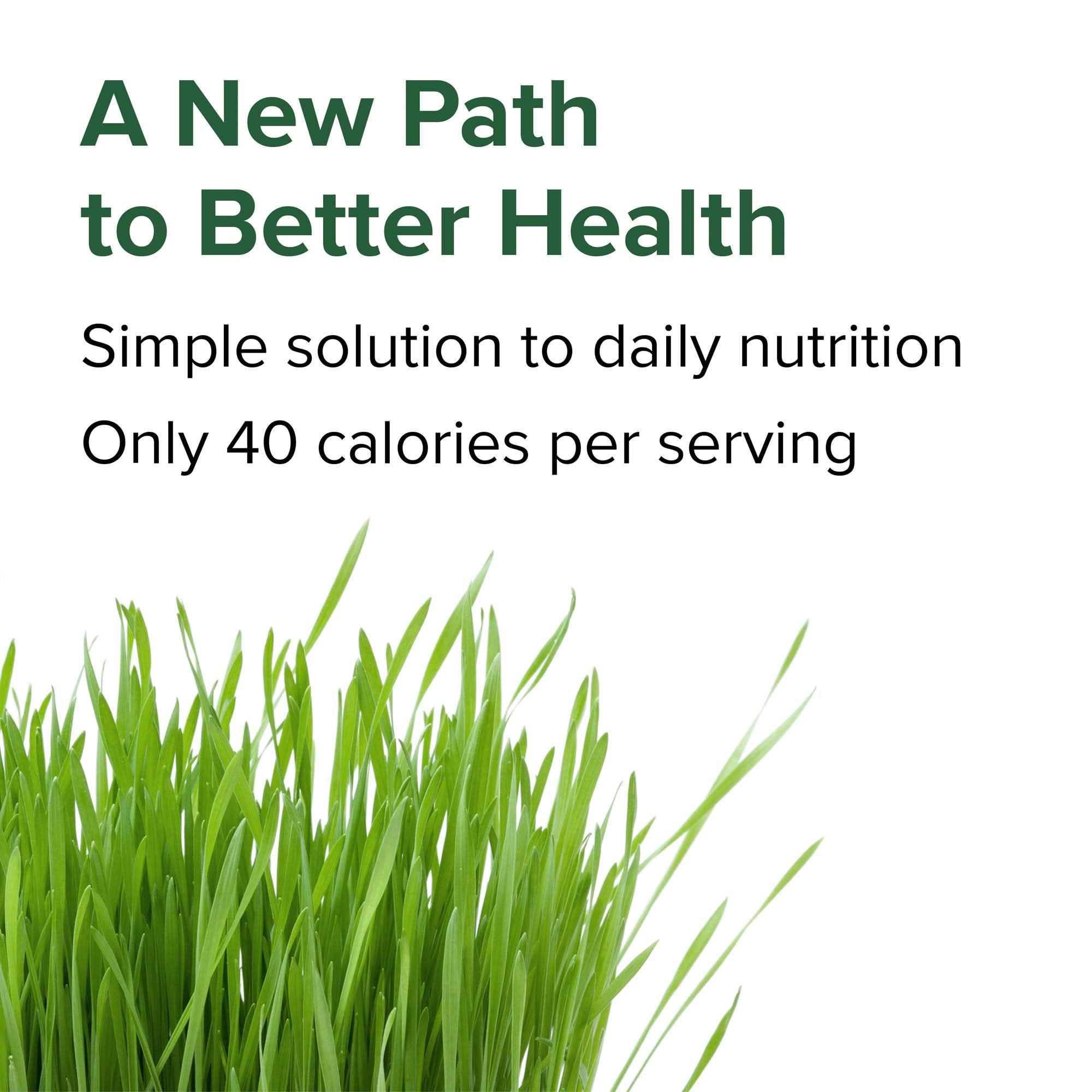 Vibrant Health Green Vibrance pill closeup showing compact, easy-to-swallow capsules