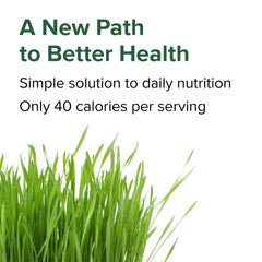 Vibrant Health Green Vibrance pill closeup showing compact, easy-to-swallow capsules