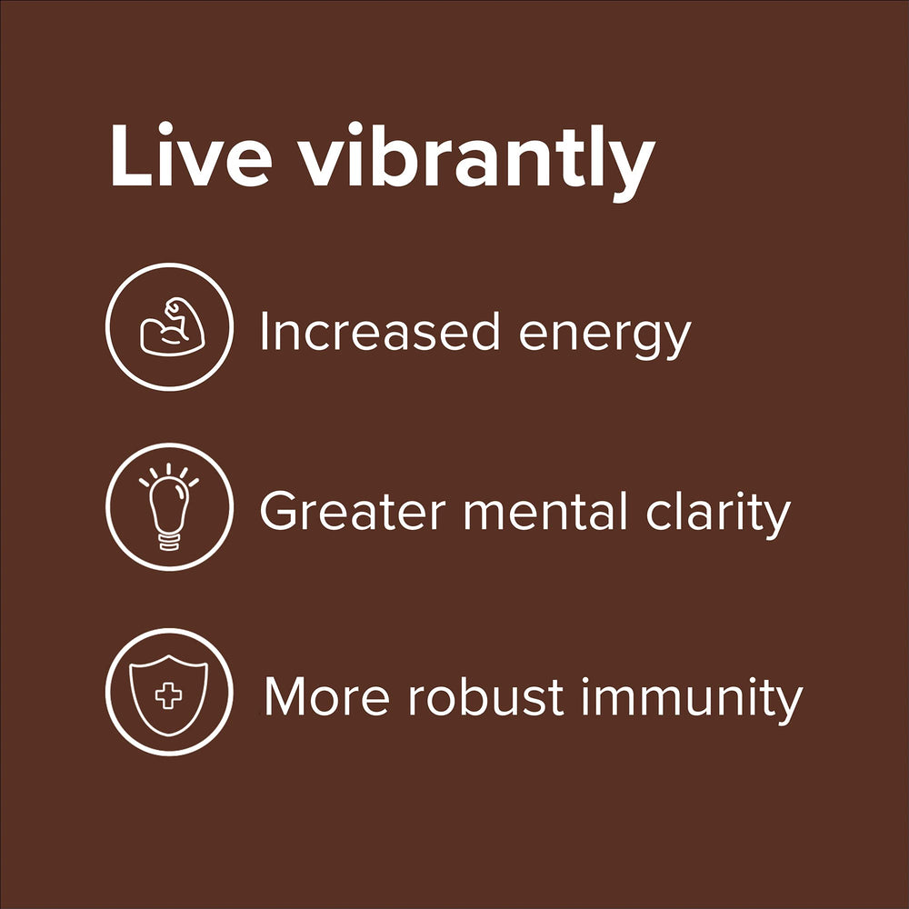 Vibrant Health Green Vibrance shake-glass reveals a creamy chocolate coconut finish.