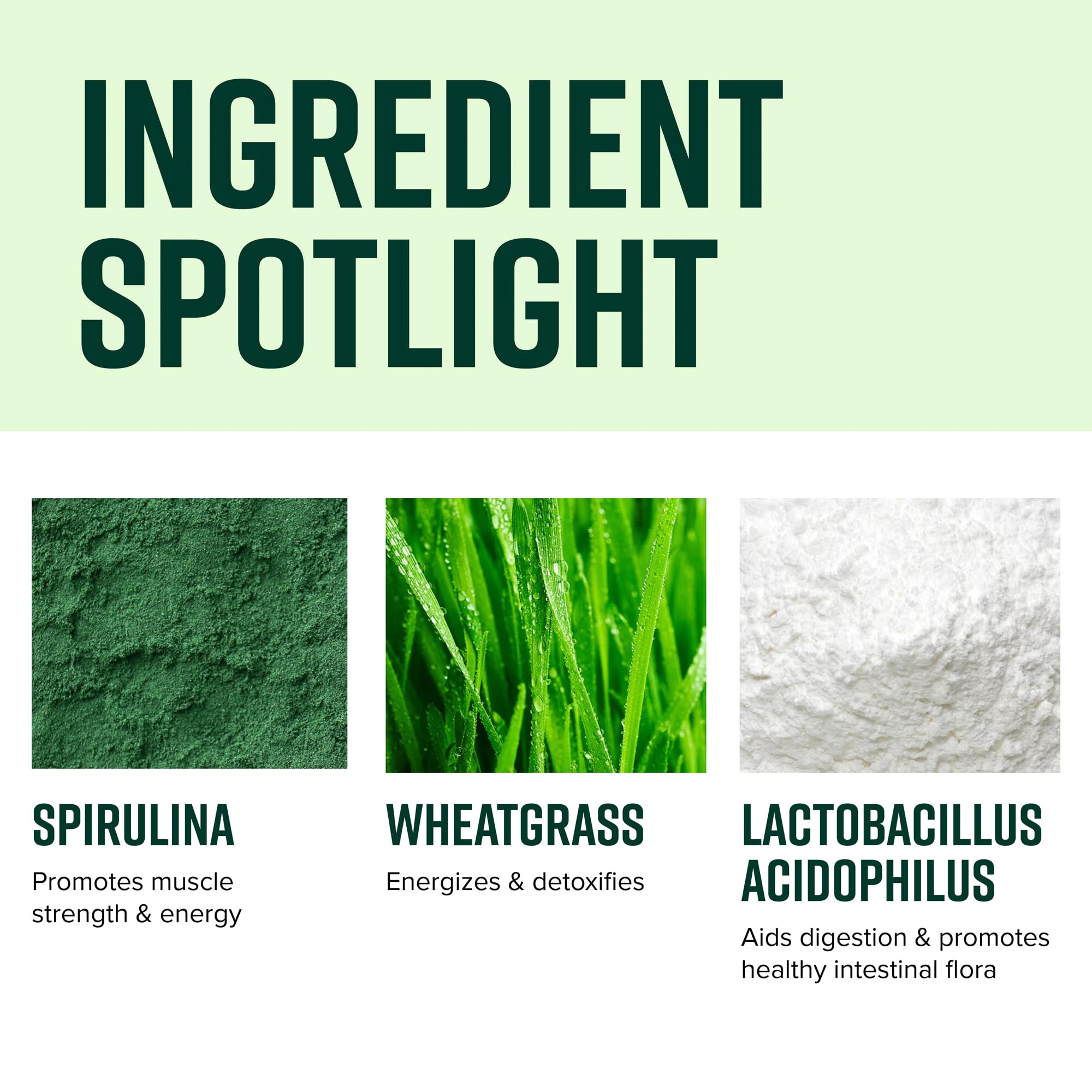 Close-up of spirulina and kale in Green Vibrance blend.