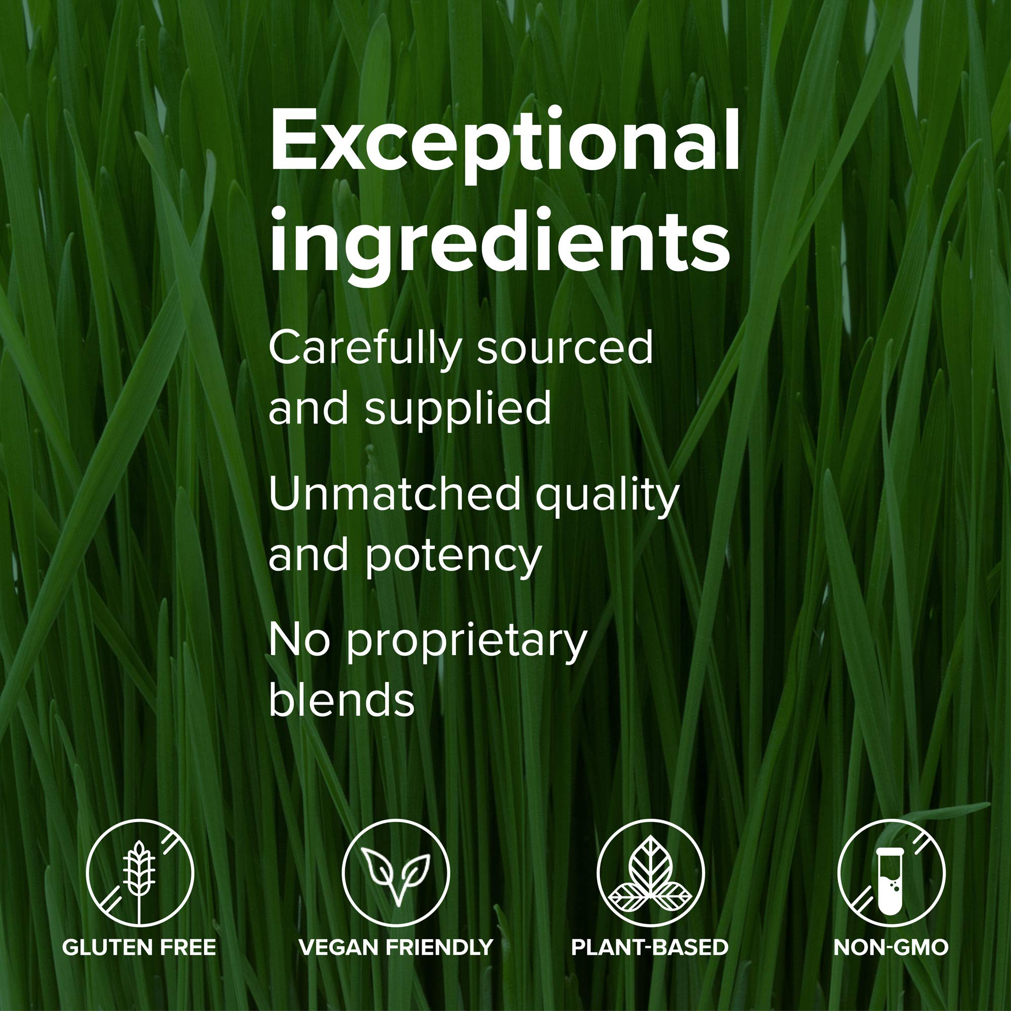 Vibrant Health Green Vibrance storage illustration indicating refrigeration after opening