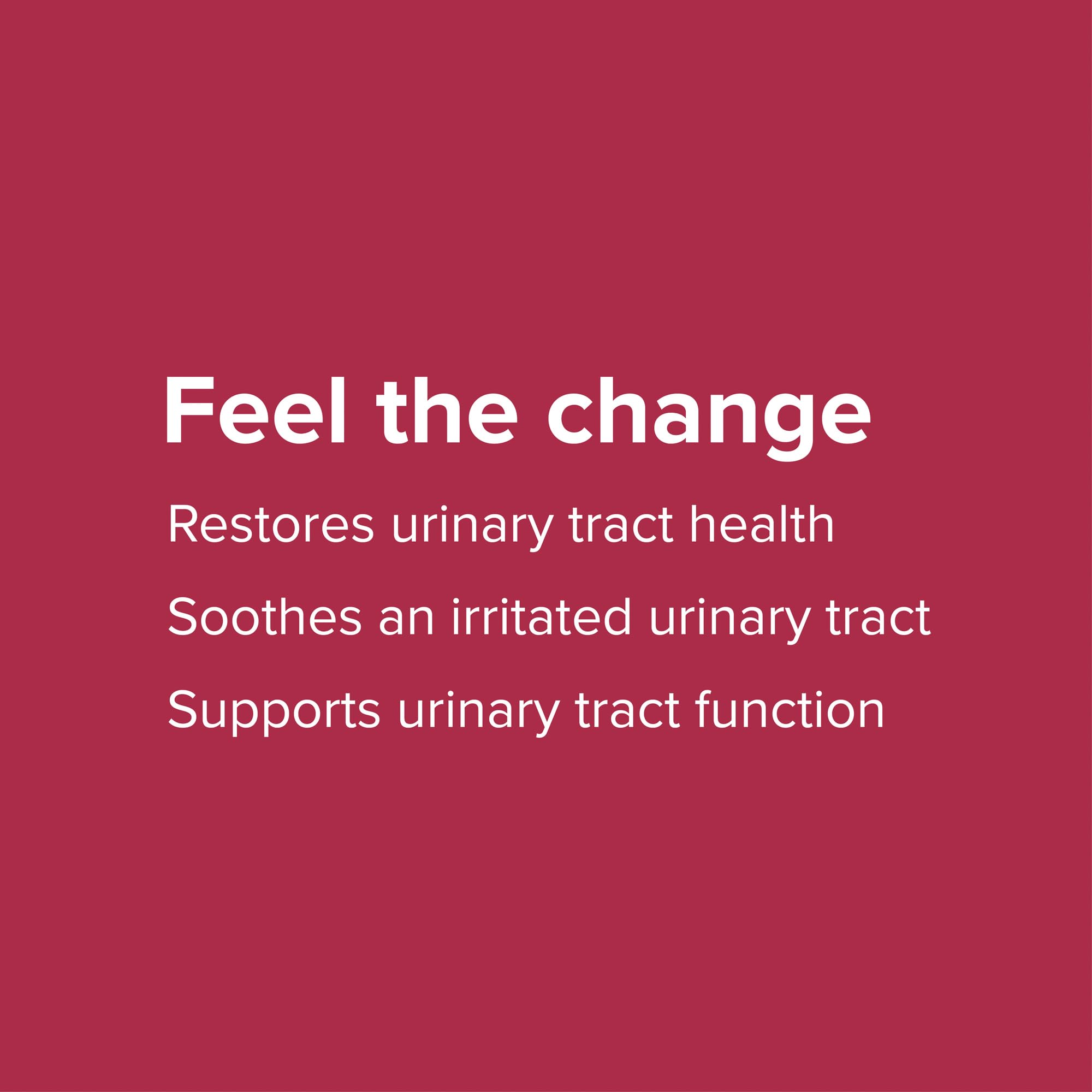 Vibrant Health U.T. Vibrance Powder on shelf in a wellness setting