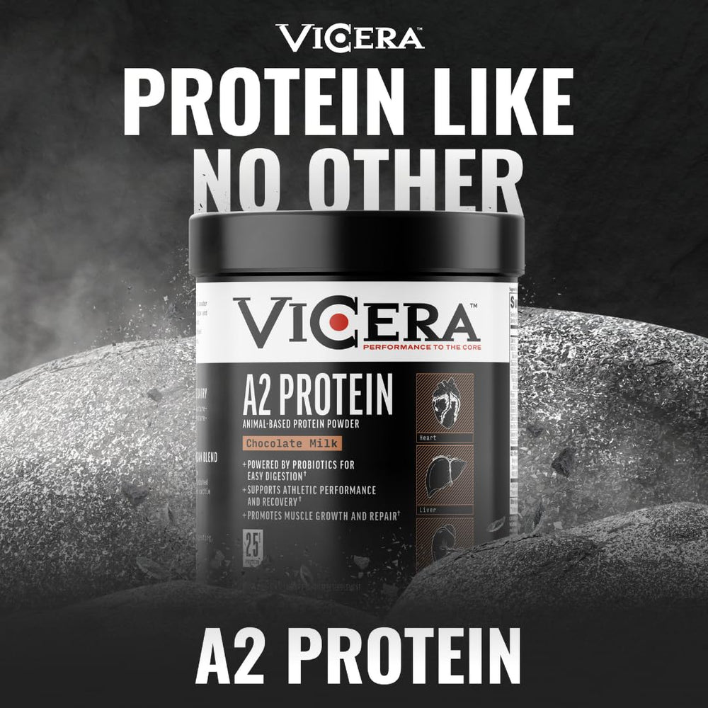 Vicera A2 Protein Powder baking or smoothie use shown with chocolate flavor.