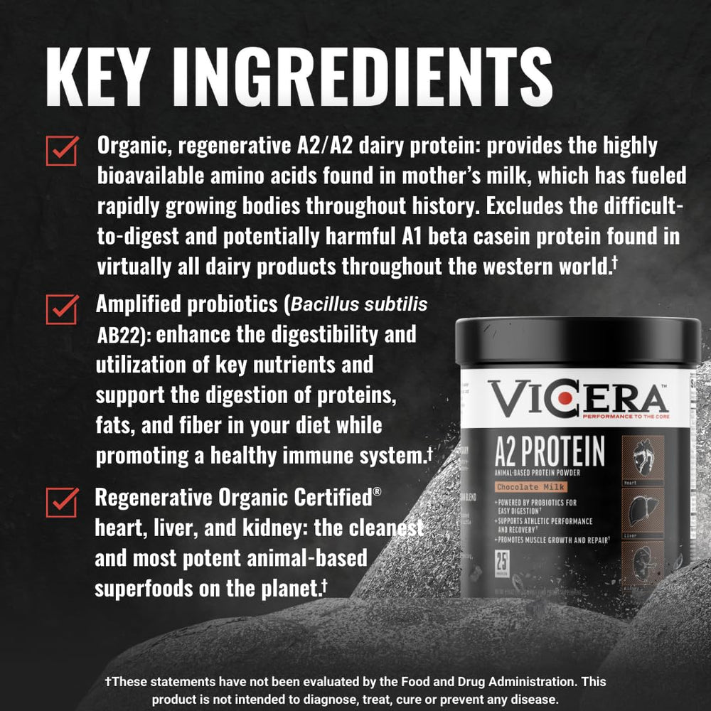 Vicera A2 Protein Powder poured into milk for a smooth chocolate mix.