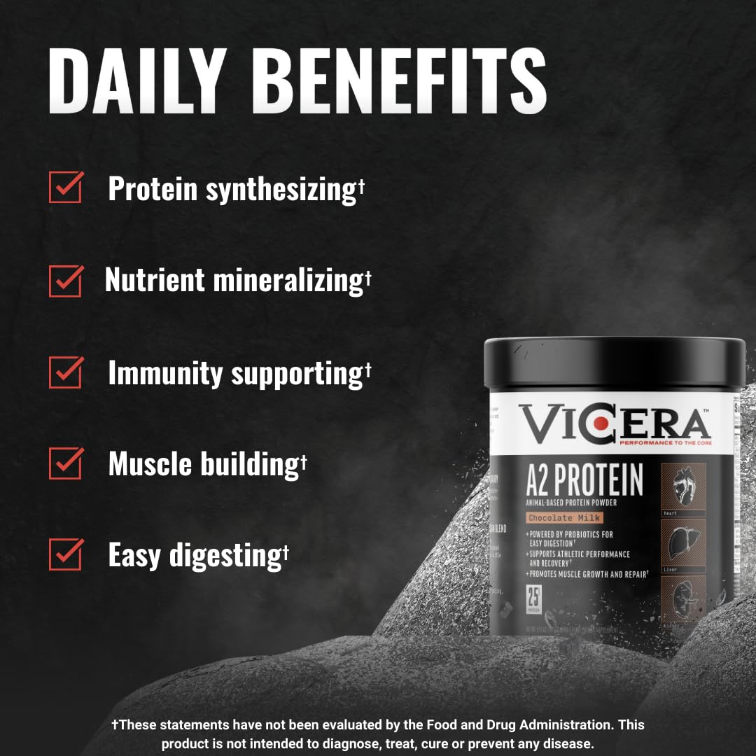 Vicera A2 Protein Powder stirred into overnight oats as a versatile boost.