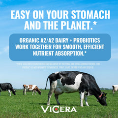 Vicera A2 Protein Powder probiotic blend label emphasizing Bacillus subtilis AB22.