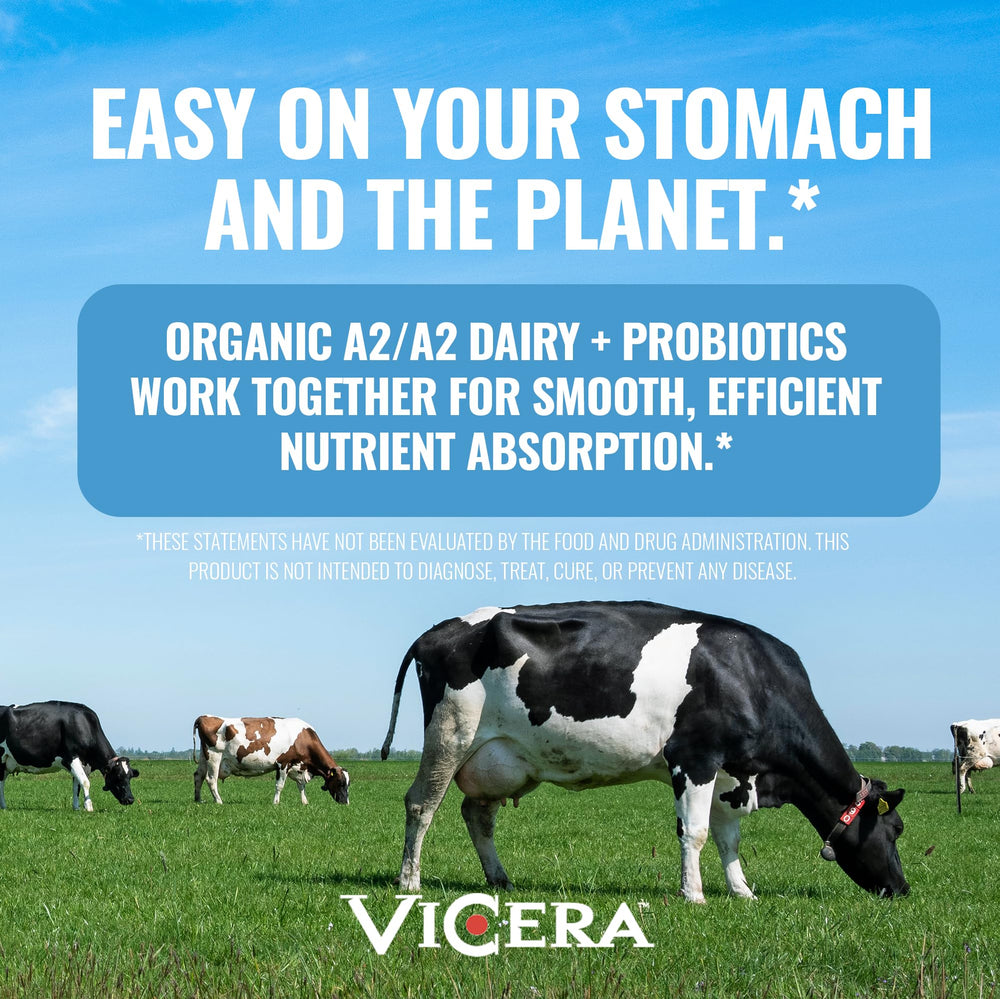 Vicera A2 Protein Powder Vanilla Creme label close-up highlighting probiotics and minerals.